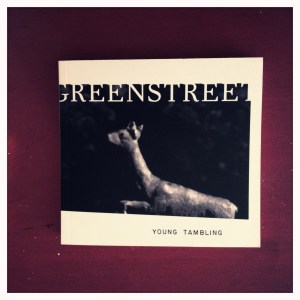 This is a photograph of Kate Greenstreet's Young Tambling. It's been Instagrammed because its unfiltered awesomeness would make the Interwebs EXPLODE, and then where would Al Gore, astronaut sloths, and fruit-hatted cats be?