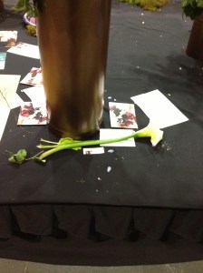 I call this "Twice-Rejected Lily: First Rejected Through Cruel Theft, Then Rejected Through Cruel Disposal."