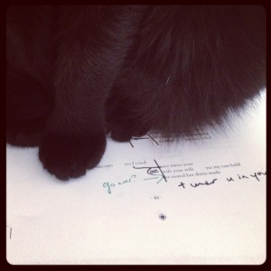 Gertrude Stein decided to help me with the poem I needed to read.