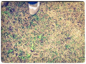 In a field I am the absence of field.