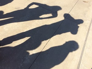 21757029912_5115f74053_z