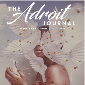 Adroit Issue 29.jpeg